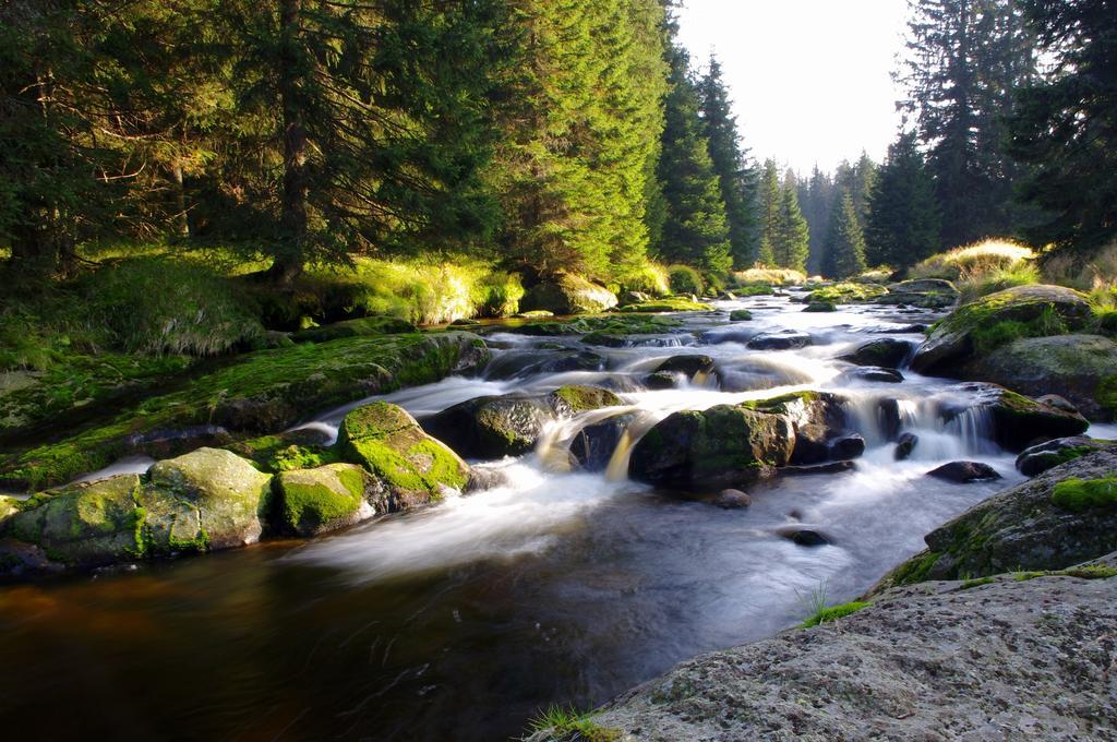 Chalupa Na Peci Želnava Quarto foto
